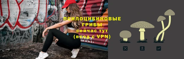 бошки Верея